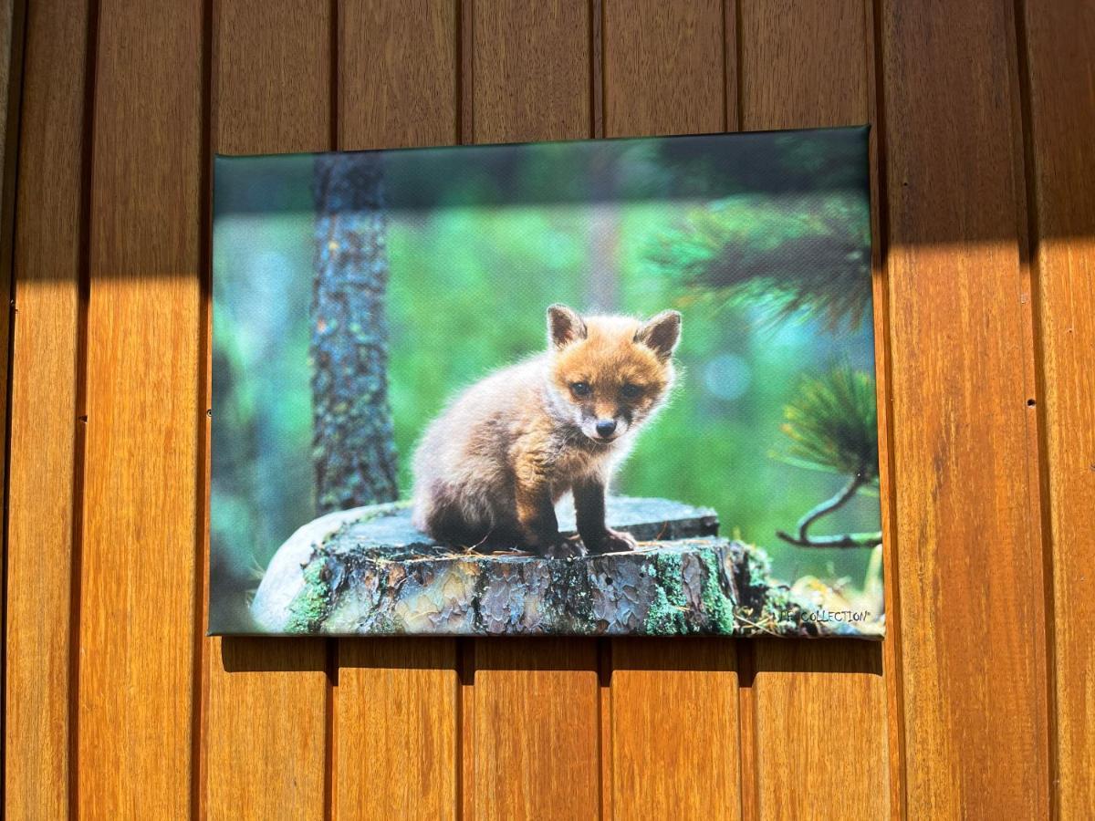 Luxe Kamer Chambre Renard Met Eigen Terras Zoutelande Dış mekan fotoğraf
